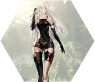 A2