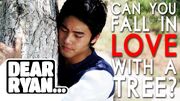 FallInLoveTree