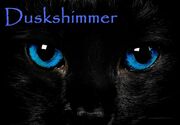 Duskshimmer