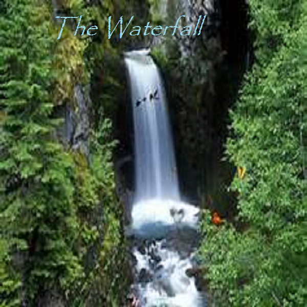 The Waterfall Nightclan Roleplaying Wiki Fandom The Waterfall Nightclan Roleplaying Wiki Fandom