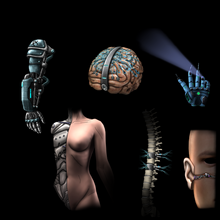 Assimilatex-0.png