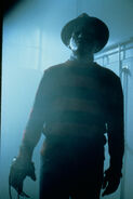 Freddy NOES 2