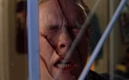 Freddy scratch Mark’s Face