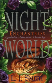 Spellbinder 1997.png (1.39 MB) 1997 Book Cover (Enchantress)