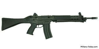 Type-89 Assault Rifle