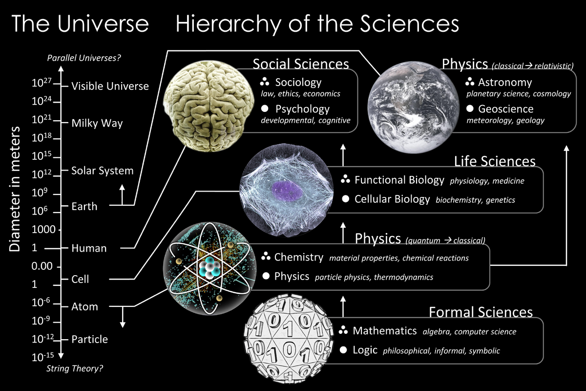 Formal science. Hierarchy of Sciences. Иерархия наук. The Universe Hierarchy of the Sciences по русски. Доктор наук иерархия.