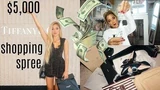 $5,000 Luxury Brand Shopping Spree fancy vlogs