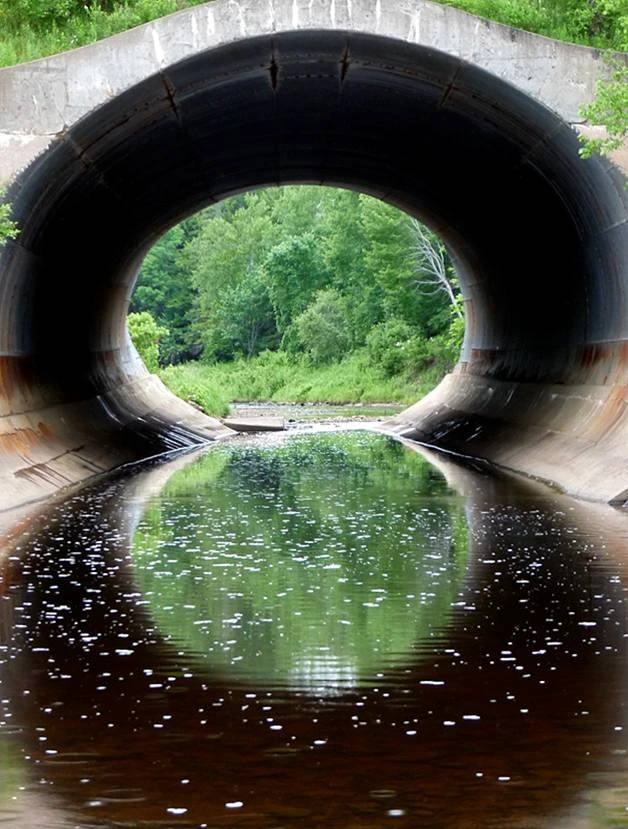 Unit 8 Niki Wiki Fandom