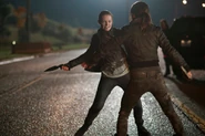 Anne's fight with Nikita