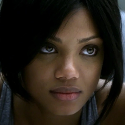 Portal:Main Characters | Nikita Wiki | Fandom