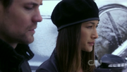 Nikita and Michael Convenants