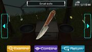 SmallKnife