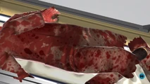Junpei's dismembered legs.