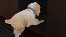 Gab entering a vent.