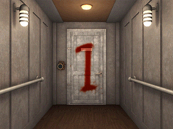 I ENTER DOOR 1 OF THE GAME DOORS 