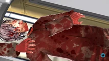 Junpei's decapitated head and dismembered arms.