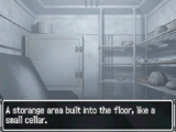 "Storange" error.