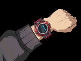 Ace's bracelet.