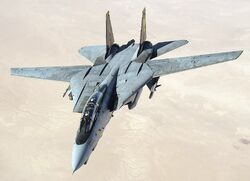 Grumman F-14 Tomcat | Capcom's 1940 Series Wikia | Fandom