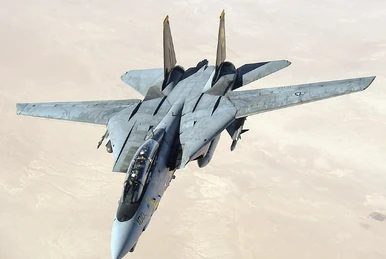 【☆送料無料☆】GRUMMAN F-14A TOMCAT　version1994 Grumman F-14A Tomcat Ver.1994 none / Tamiya USA