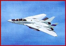 Grumman F-14 Tomcat | Capcom's 1940 Series Wikia | Fandom