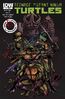 IDW TMNT Vol 1 34 RE 1st Print Comics Variant