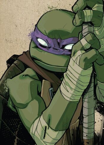 Donatello (IDW)