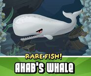 Ahab whale