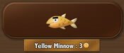 YellowMinnow