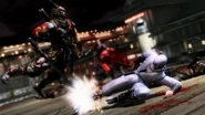 Hayabusa ninjas vs Black Spider ninjas.