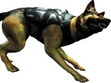 War Dog