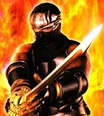 Hayabusa in Ninja Gaiden