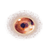 Cv feye