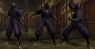 Hayabusa donning the clan's uniform