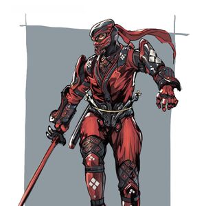 Costumes Ninja Gaiden Wiki Fandom