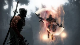 Tnninjaaya1