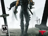 Ninja Gaiden II