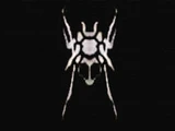 Black Spider Ninja Clan