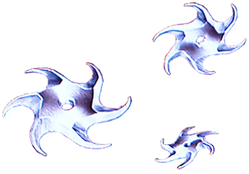 Shuriken | Ninja Gaiden Wiki | Fandom
