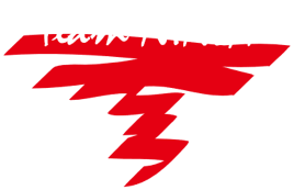 Team Ninja Logo