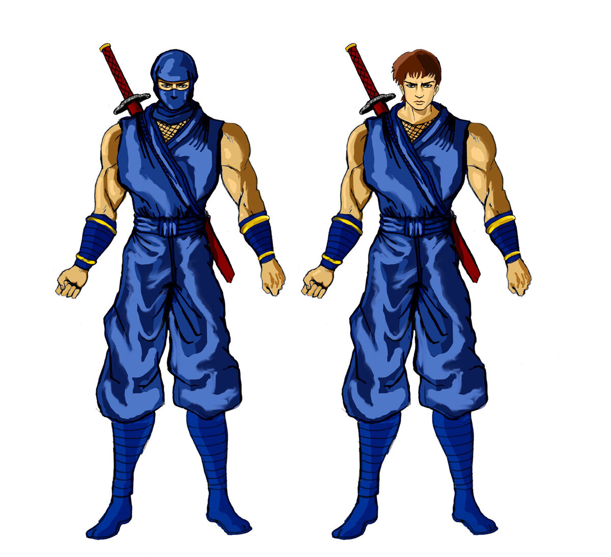 Ninja: Shadow of Darkness - Wikipedia