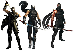 Ninja gaiden legendary black falcon evolution