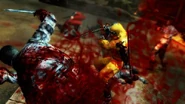 Hayabusa ninjas vs Special Ops