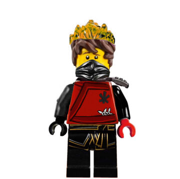 Kai Earth 30 Ninjago Fanon Wiki Fandom