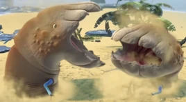 Sand eels