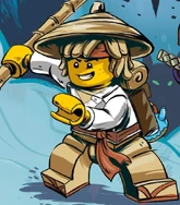 Wu as a teenager (Spinjitzu Brothers)