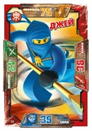 Card 13 - Jay