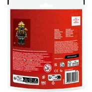 ColesCarBack.jpg (381 KB)