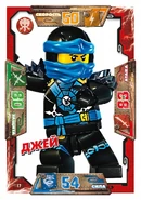 Card 17 - Jay