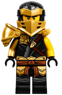 Lego ninjago 2025 season 13 cole